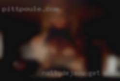 NattyDejavu get email address of horny girls