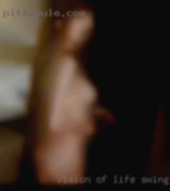 vision of life swinger